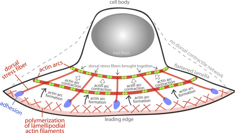 Figure 10.