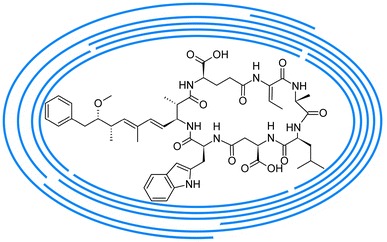 Fig. 1