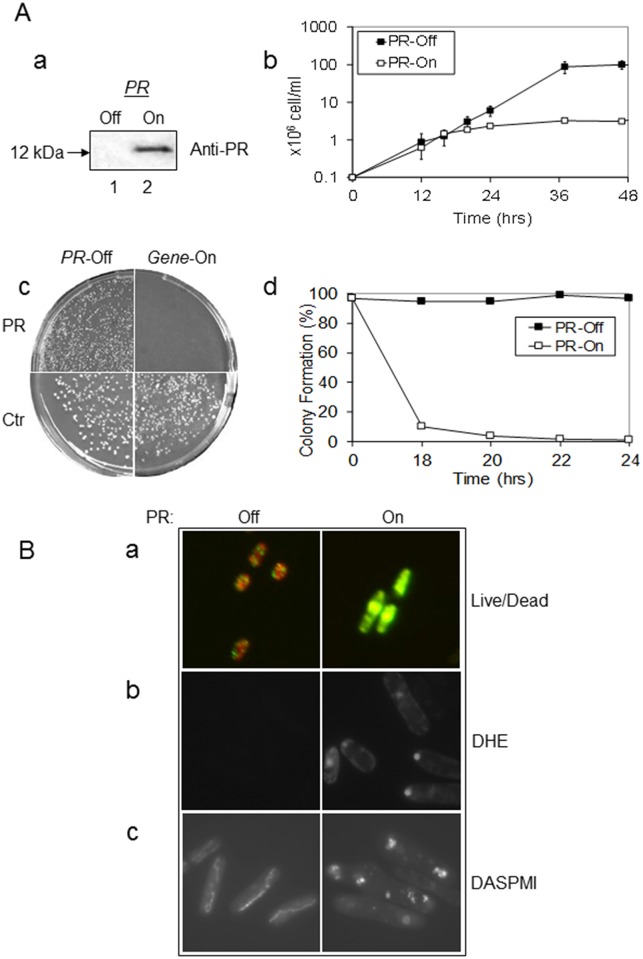 Fig 1