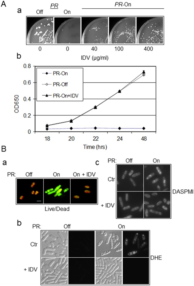 Fig 2