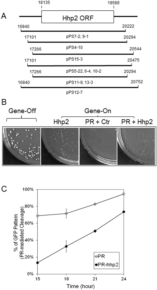 Fig 4