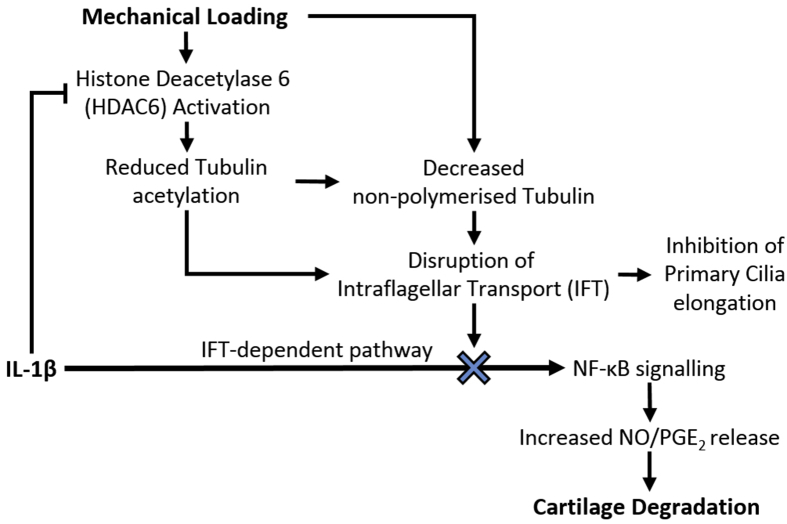 Fig. 7