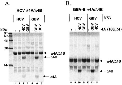 FIG. 6