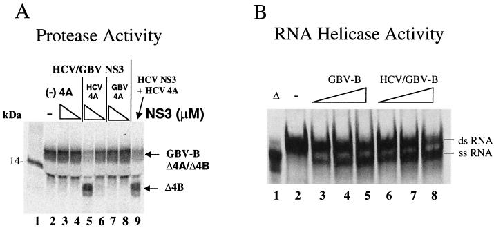 FIG. 9