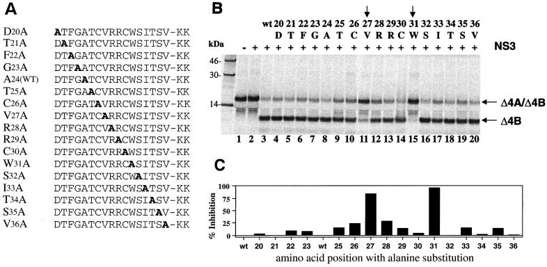 FIG. 7