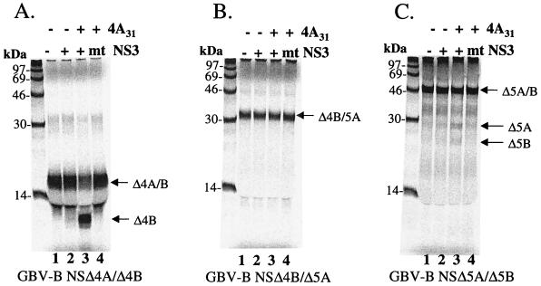 FIG. 3