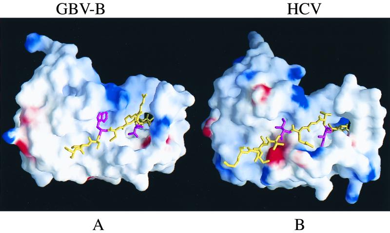 FIG. 8