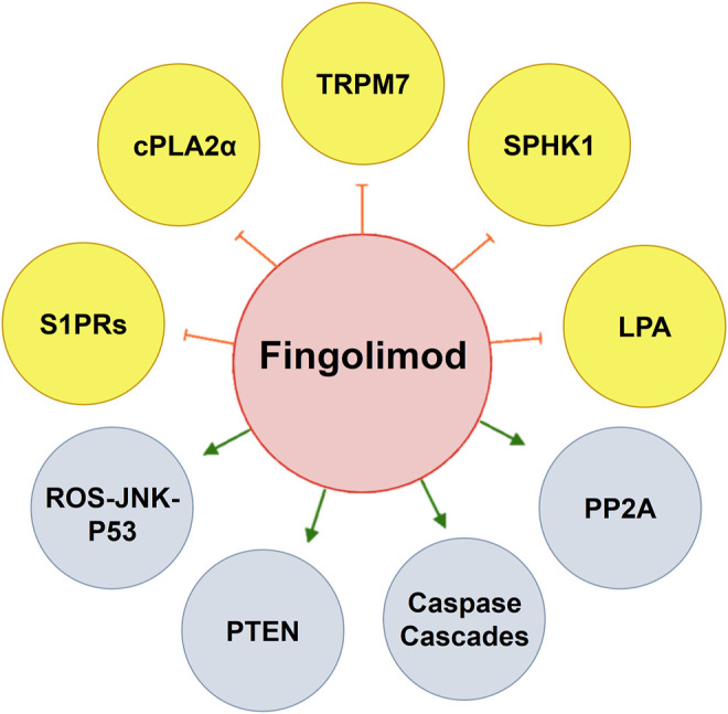 FIGURE 3