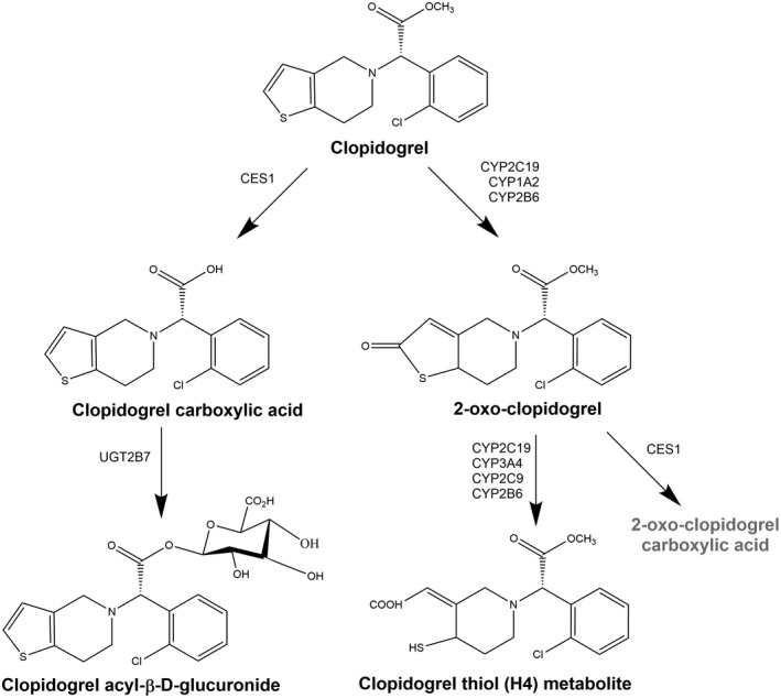 FIGURE 1