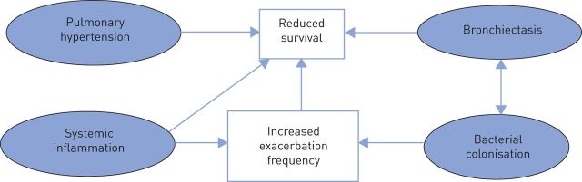 FIGURE 1