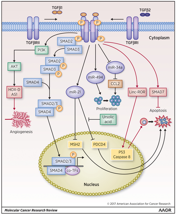 Figure 3: