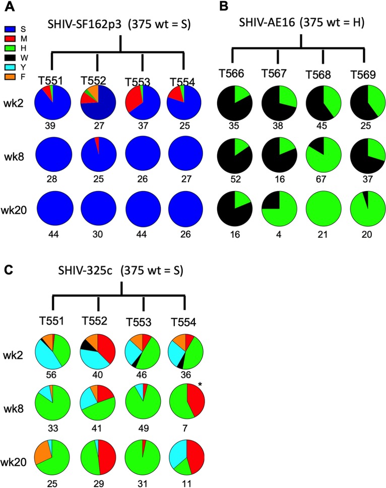 FIG 3