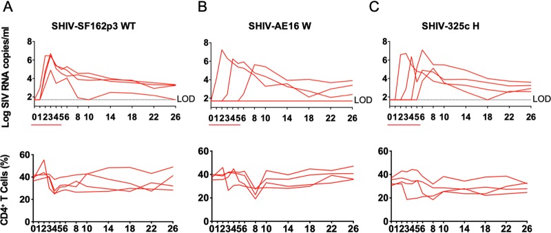 FIG 4