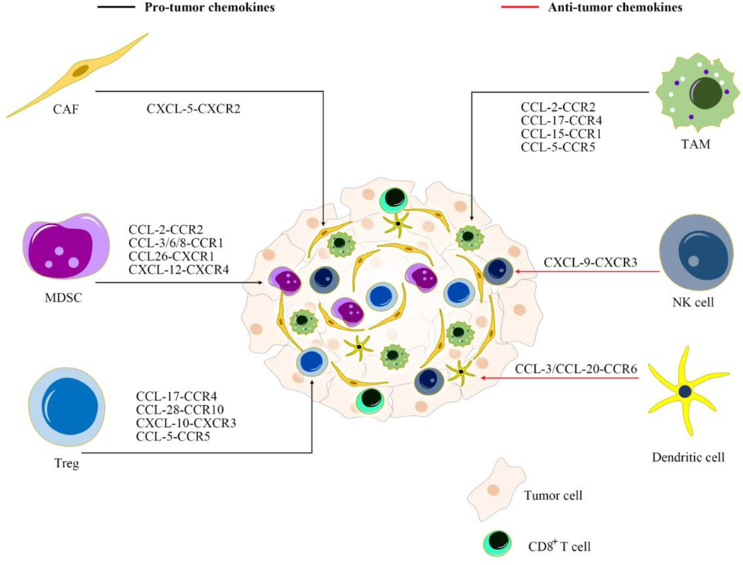 Figure 2: