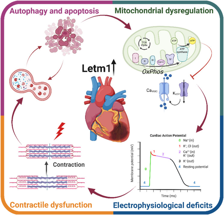 graphic file with name 12964_2025_2378_Figa_HTML.jpg