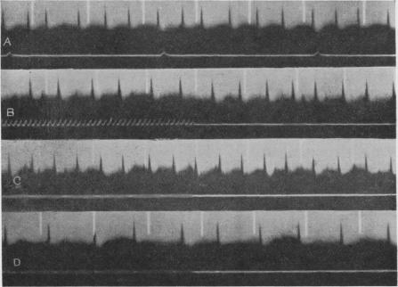 Fig. 18