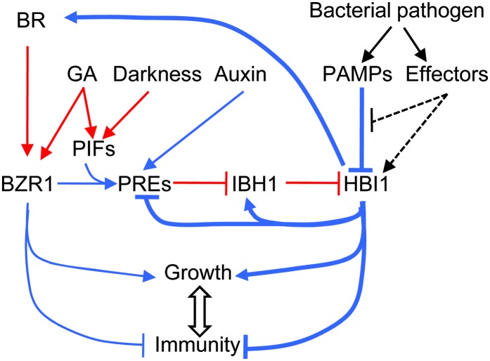 Figure 6.