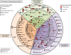 Fig. 1