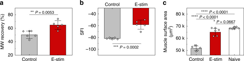 Fig. 6