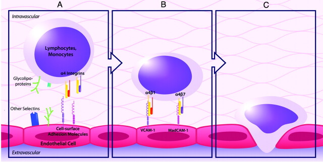 Fig 1.