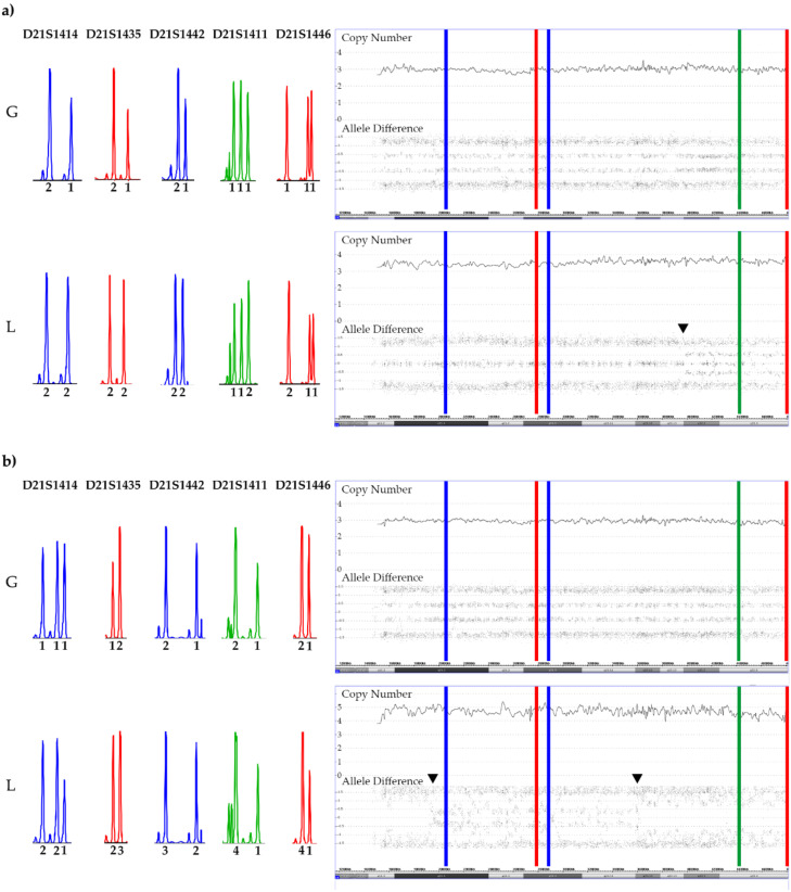 Figure 10