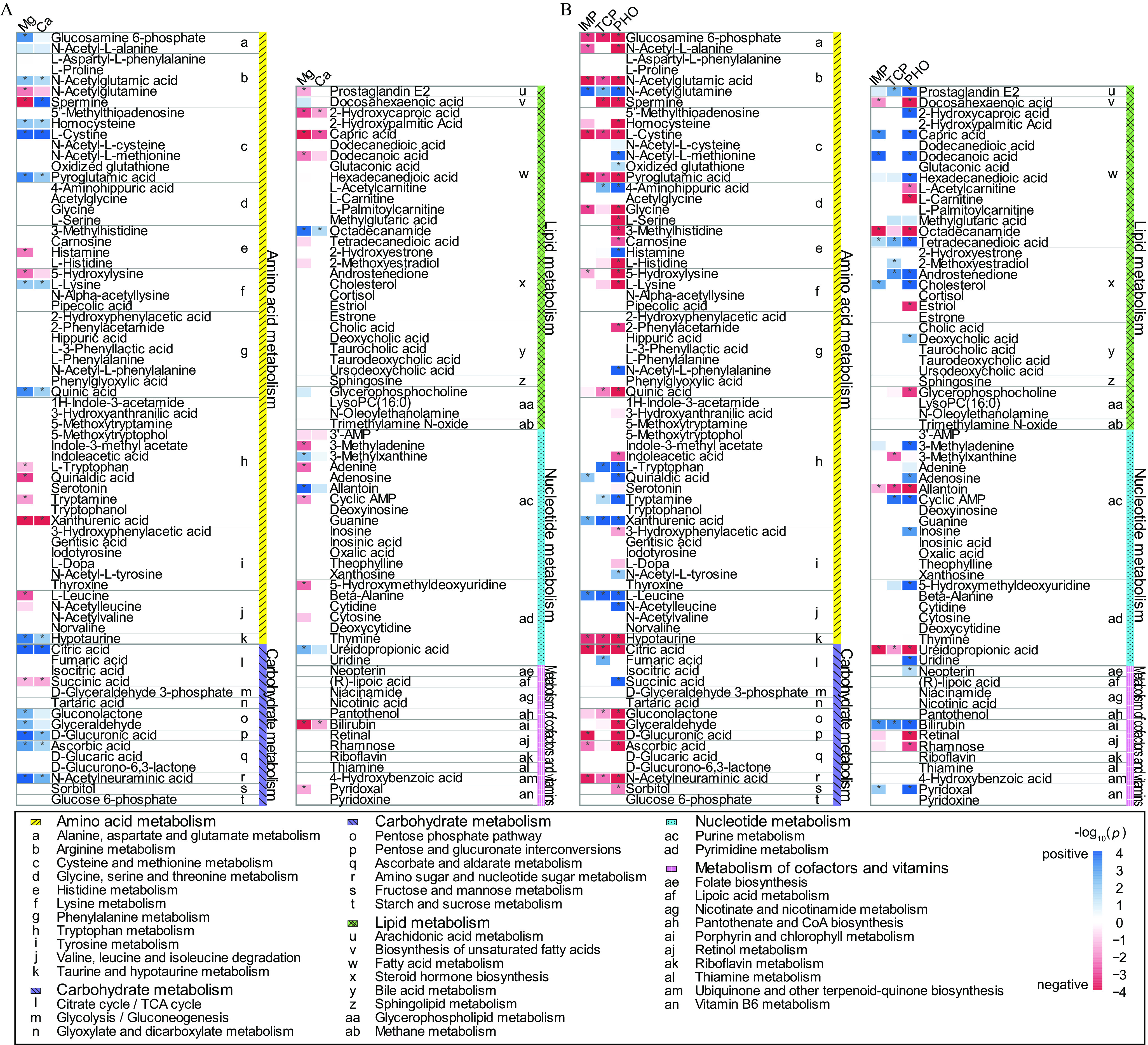 Figure 4A is a set of two heatmaps. The first heatmap plots AMINO ACID METABOLISM: Alanine, aspartate and glutamate metabolism, including Glucosamine 6-phosphate and N-Acetyl-L-alanine; Arginine metabolism, including L-Aspartyl-L-phenylalanine, L-Proline, N-Acetylglutamic acid, N-Acetylglutamine, and Spermine; Cysteine and methionine metabolism, including 5 prime-Methylthioadenosine, Homocysteine, L-Cystine, N-Acetyl-L-cysteine, N-Acetyl-L-methionine, Oxidized glutathione, and Pyroglutamic acid; Glycine, serine and threonine metabolism, including 4-Aminohippuric acid, Acetylglycine, Glycine, and L-Serine; Histidine metabolism, including 3-Methylhistidine, Carnosine, Histamine, and L-Histidine; Lysine metabolism, including 5-Hydroxylysine, L-Lysine, N-Alpha-acetyllysine, and Pipecolic acid; Phenylalanine metabolism, including 2-Hydroxyphenylacetic acid, 2-Phenylacetamide, Hippuric acid, L-3-Phenyllactic acid, L-Phenylalanine, N-Acetyl-L-phenylalanine, Phenylglyoxylic acid, and Quinic acid; Tryptophan metabolism, including 1H-Indole-3-acetamide, 3-Hydroxyanthranilic acid, 5-Methoxytryptamine, 5-Methoxytryptophol, Indole-3-methyl acetate, Indoleacetic acid, L-Tryptophan, Quinaldic acid, Serotonin, Tryptamine, Tryptophanol, and Xanthurenic acid; Tyrosine metabolism, including 3-Hydroxyphenylacetic acid, Gentisic acid, Iodotyrosine, L-Dopa, N-Acetyl-L-tyrosine, and Thyroxine; Valine, leucine and isoleucine degradation, including L-Leucine, N-Acetylleucine, N-Acetylvaline, and Norvaline; Taurine and hypotaurine metabolism, including Hypotaurine; CARBOHYDRATE METABOLISM: Citrate cycle or T C A cycle; Citric acid, Fumaric acid, Isocitric acid, and Succinic acid; Glycolysis or Gluconeogenesis, including D-Glyceraldehyde 3-phosphate; Glyoxylate and dicarboxylate metabolism, including Tartaric acid; Pentose phosphate pathway, including Gluconolactone and Glyceraldehyde; Pentose and glucuronate interconversions, including D-Glucuronic acid; Ascorbate and aldarate metabolism, including Ascorbic acid, D-Glucaric acid, and D-Glucurono-6,3-lactone; Amino sugar and nucleotide sugar metabolism, including N-Acetylneuraminic acid; Fructose and mannose metabolism, including Sorbitol; and Starch and sucrose metabolism, including Glucose 6-phosphate (y-axis) across Magnesium and Calcium (x-axis). The second heatmap plots LIPID METABOLISM: Arachidonic acid metabolism, including Prostaglandin E2; Biosynthesis of unsaturated fatty acids, including Docosahexaenoic acid; Fatty acid metabolism, including 2-Hydroxycaproic acid, 2-Hydroxypalmitic Acid, Capric acid, Dodecanedioic acid, Dodecanoic acid, Glutaconic acid, Hexadecanedioic acid, L-Acetylcarnitine, L-Carnitine, L-Palmitoylcarnitine, Methylglutaric acid, Octadecanamide, and Tetradecanedioic acid; Steroid hormone biosynthesis, including 2-Hydroxyestrone, 2-Methoxyestradiol, Androstenedione, Cholesterol, Cortisol, Estriol, and Estrone; Bile acid metabolism, including Cholic acid, Deoxycholic acid, Taurocholic acid, Taurodeoxycholic acid, and Ursodeoxycholic acid; Sphingolipid metabolism, including Sphingosine; Glycerophospholipid metabolism, including Glycerophosphocholine, Lyso P C(16 to 0), and N-Oleoylethanolamine; Methane metabolism, including Trimethylamine N-oxide; NUCLEOTIDE METABOLISM: Purine metabolism, including 3 prime-A M P, 3-Methyladenine, 3-Methylxanthine, Adenine, Adenosine, Allantoin, Cyclic A M P, Deoxyinosine, Guanine, Inosine, Inosinic acid, Oxalic acid, Theophylline, and Xanthosine; Pyrimidine metabolism, including 5-Hydroxymethyldeoxyuridine, Beta-Alanine, Cytidine, Cytosine, Deoxycytidine, Thymine, Ureidopropionic acid, and Uridin; METABOLISM OF COFACTORS AND VITAMINS: Folate biosynthesis, including Neopterin; Lipoic acid metabolism, including (R)-lipoic acid; Nicotinate and nicotinamide metabolism, including Niacinamide and Nicotinic acid; Pantothenate and C o A biosynthesis, including Pantothenol; Porphyrin and chlorophyll metabolism, including Bilirubin; Retinol metabolism, including Retinal and Rhamnose; Riboflavin metabolism, including Riboflavin; Thiamin metabolism, including Thiamin; Ubiquinone and other terpenoid-quinone biosynthesis, including 4-Hydroxybenzoic acid; and Vitamin B6 metabolism, including Pyridoxal and Pyridoxine (y-axis) across Magnesium and Calcium (x-axis). Figure 4B set of two heatmaps. The first heatmap plots AMINO ACID METABOLISM: Alanine, aspartate and glutamate metabolism, including Glucosamine 6-phosphate and N-Acetyl-L-alanine; Arginine metabolism, including L-Aspartyl-L-phenylalanine, L-Proline, N-Acetylglutamic acid, N-Acetylglutamine, and Spermine; Cysteine and methionine metabolism, including 5 prime-Methylthioadenosine, Homocysteine, L-Cystine, N-Acetyl-L-cysteine, N-Acetyl-L-methionine, Oxidized glutathione, and Pyroglutamic acid; Glycine, serine and threonine metabolism, including 4-Aminohippuric acid, Acetylglycine, Glycine, and L-Serine; Histidine metabolism, including 3-Methylhistidine, Carnosine, Histamine, and L-Histidine; Lysine metabolism, including 5-Hydroxylysine, L-Lysine, N-Alpha-acetyllysine, and Pipecolic acid; Phenylalanine metabolism, including 2-Hydroxyphenylacetic acid, 2-Phenylacetamide, Hippuric acid, L-3-Phenyllactic acid, L-Phenylalanine, N-Acetyl-L-phenylalanine, Phenylglyoxylic acid, and Quinic acid; Tryptophan metabolism, including 1H-Indole-3-acetamide, 3-Hydroxyanthranilic acid, 5-Methoxytryptamine, 5-Methoxytryptophol, Indole-3-methyl acetate, Indoleacetic acid, L-Tryptophan, Quinaldic acid, Serotonin, Tryptamine, Tryptophanol, and Xanthurenic acid; Carbohydratemetabolism: Tyrosine metabolism, including 3-Hydroxyphenylacetic acid, Gentisic acid, Iodotyrosine, L-Dopa, N-Acetyl-L-tyrosine, and Thyroxine; Valine, leucine and isoleucine degradation, including L-Leucine, N-Acetylleucine, N-Acetylvaline, and Norvaline; Taurine and hypotaurine metabolism, including Hypotaurine; CARBOHYDRATE METABOLISM: Citrate cycle or T C A cycle; Citric acid, Fumaric acid, Isocitric acid, and Succinic acid; Glycolysis or Gluconeogenesis, including D-Glyceraldehyde 3-phosphate; Glyoxylate and dicarboxylate metabolism, including Tartaric acid; Pentose phosphate pathway, including Gluconolactone and Glyceraldehyde; Pentose and glucuronate interconversions, including D-Glucuronic acid; Ascorbate and aldarate metabolism, including Ascorbic acid, D-Glucaric acid, and D-Glucurono-6,3-lactone; Amino sugar and nucleotide sugar metabolism, including N-Acetylneuraminic acid; Fructose and mannose metabolism, including Sorbitol; and Starch and sucrose metabolism, including Glucose 6-phosphate (y-axis) across 2-Isopropyl-6-methylpyrimidin-4-ol, 3,5,6-Trichloro-2-pyridinol and, Phosphamidon (x-axis). The second heatmap plots LIPID METABOLISM: Arachidonic acid metabolism, including Prostaglandin E2; Biosynthesis of unsaturated fatty acids, including Docosahexaenoic acid; Fatty acid metabolism, including 2-Hydroxycaproic acid, 2-Hydroxypalmitic Acid, Capric acid, Dodecanedioic acid, Dodecanoic acid, Glutaconic acid, Hexadecanedioic acid, L-Acetylcarnitine, L-Carnitine, L-Palmitoylcarnitine, Methylglutaric acid, Octadecanamide, and Tetradecanedioic acid; Steroid hormone biosynthesis, including 2-Hydroxyestrone, 2-Methoxyestradiol, Androstenedione, Cholesterol, Cortisol, Estriol, and Estrone; Bile acid metabolism, including Cholic acid, Deoxycholic acid, Taurocholic acid, Taurodeoxycholic acid, and Ursodeoxycholic acid; Sphingolipid metabolism, including Sphingosine; Glycerophospholipid metabolism, including Glycerophosphocholine, Lyso P C(16 to 0), and N-Oleoylethanolamine; Methane metabolism, including Trimethylamine N-oxide; NUCLEOTIDE METABOLISM: Purine metabolism, including 3 prime-A M P, 3-Methyladenine, 3-Methylxanthine, Adenine, Adenosine, Allantoin, Cyclic A M P, Deoxyinosine, Guanine, Inosine, Inosinic acid, Oxalic acid, Theophylline, and Xanthosine; Pyrimidine metabolism, including 5-Hydroxymethyldeoxyuridine, Beta-Alanine, Cytidine, Cytosine, Deoxycytidine, Thymine, Ureidopropionic acid, and Uridin; METABOLISM OF COFACTORS AND VITAMINS: Folate biosynthesis, including Neopterin; Lipoic acid metabolism, including (R)-lipoic acid; Nicotinate and nicotinamide metabolism, including Niacinamide and Nicotinic acid; Pantothenate and C o A biosynthesis, including Pantothenol; Porphyrin and chlorophyll metabolism, including Bilirubin; Retinol metabolism, including Retinal and Rhamnose; Riboflavin metabolism, including Riboflavin; Thiamin metabolism, including Thiamin; Ubiquinone and other terpenoid-quinone biosynthesis, including 4-Hydroxybenzoic acid; and Vitamin B6 metabolism, including Pyridoxal and Pyridoxine (y-axis) across 2-Isopropyl-6-methylpyrimidin-4-ol, 3,5,6-Trichloro-2-pyridinol and, Phosphamidon (x-axis). A scale depicting negative log to the base 10 of open parenthesis lowercase p close parenthesis is ranging from negative 4 to 4 in unit increments.