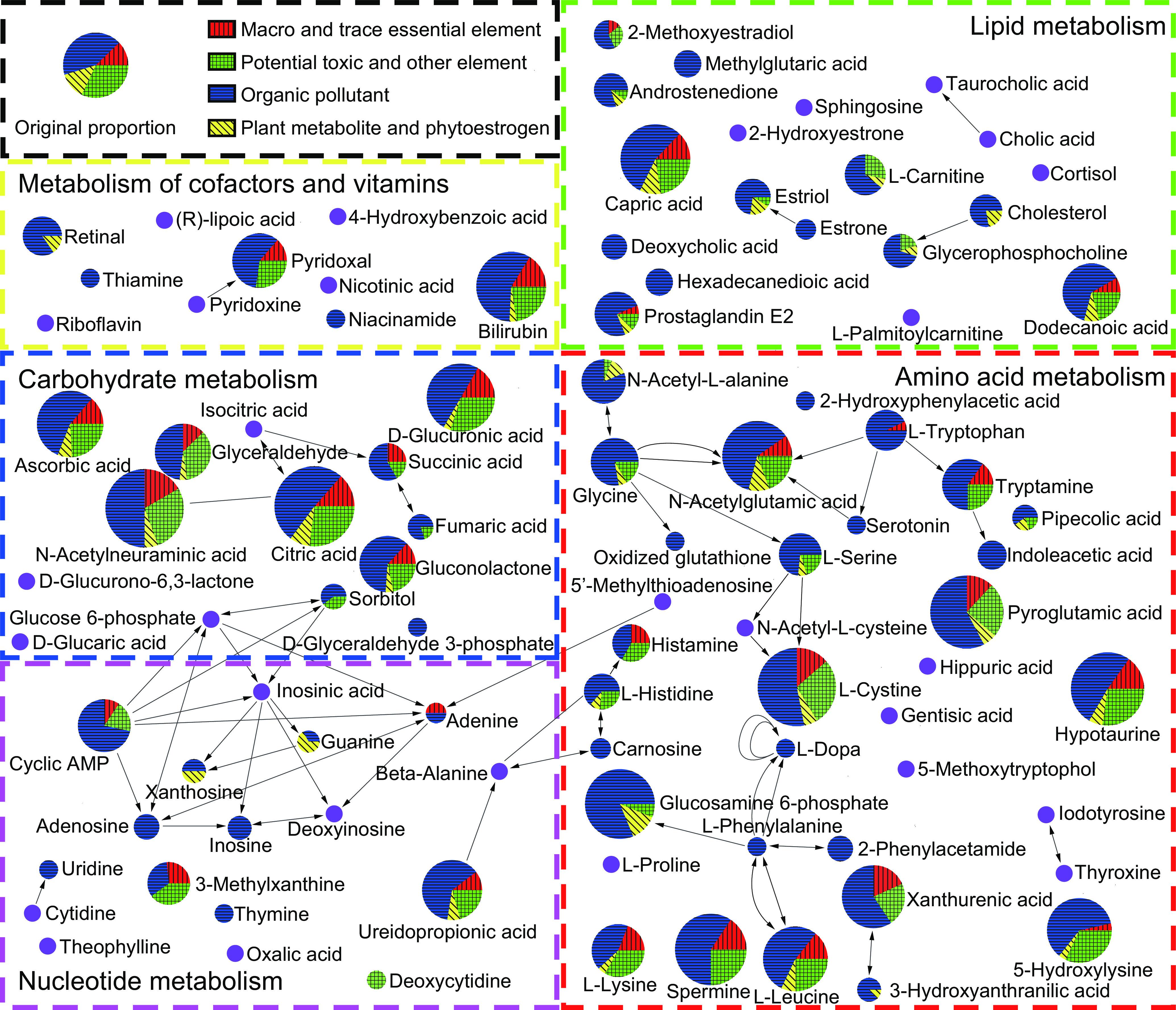 Figure 6 depicts the connections of environmentally determined urinary metabotypes of pregnant women and is divided into six parts. The first part depicts a pie chart titled Original proportion and displays the following information: Macro and trace essential element, Potential toxic and other element, Organic pollutant, and Plant metabolite and phytoestrogen. The second part depicts three pie charts and is titled Metabolism of cofactors and vitamins and displays the connections between the following: Retinal, (R)-lipoic acid, 4-Hydroxybenzoic acid, Thiamin, Riboflavin, Pyridoxine, Pyridoxal, Nicotinic acid, Niacinamide, and Bilirubin. The third part is a set of nine pie charts titled Carbohydrate metabolism and displays the connections between the following: Ascorbic acid, Isocitric acid, Glycehaldehyde, D-Glucuronic acid, Succinic acid, N-Acetylneuraminic acid, Citric acid, Fumaric acid, Gluconolactone, D-Glucurono-6,3-lactone, Glucose 6-phosphate, D-Glucaric acid, Sorbitol, and D-glyceraldehyde 3-phosphate. The fourth part depicts nine pie charts and is titled Nucleotide metabolism and displays the connections between the following: Cyclic A M P, Adenosine, Xanthosine, Inosinic acid, Guanine, Adenine, Beta-Alanine, Inosine, Deoxyinosine, Uridine, Cytidine, Theophylline, 3-Methylxanthine, Thymine, Oxalic acid, Ureidopropionic acid, and Deoxycytidine. The fifth part depicts thirteen pie charts and is titled Lipid metabolism and displays the connections between the following: 2-Methoxyestradiol, Methylglutaric acid, Androstenedione, Sphingosine, Taurocholic acid, 2-Hydroxyestrone, Cholic acid, Capric acid, Estriol, L-Carnitine, Cortisol, Cholesterol, Deoxycholic acid, Estrone, Glycerophosphocholine, Hexadecanedioic acid, Prostaglandin E2, L-Palmitoylcarnitine, and Dodecanoic acid. The sixth part depicts twenty-five pie charts and is titled Amino acid metabolism and displays the connections between the following: N-Acetyl-L-alanine, 2-Hydroxyphenylacetic acid, L-Tryptophan, Glycine, N-Acetylglutamic acid, Tryptamine, Serotonin, Pipecolic acid, Oxidized glutathione, L-Serine, Indoleacetic acid, 5 prime-Methylthioadenosine, Histamine, N-Acetyl-L-cysteine, Pyroglutamic acid, L-Histidine, L-Cystine, Hippuric acid, Gentisic acid, Hypotaurine, Carnosine, L-Dopa, 5-Methoxytryptophol, Glucosamine 6-phosphate, L-Phenylalanine, 2-Phenylacetamide, Iodotyrosine, Thyroxine, L-Proline, 5-Hydroxylysine, Xanthurenic acid, L-Lysine, Spermine, L-Leucine, and 3-Hydroxyanthranilic acid.