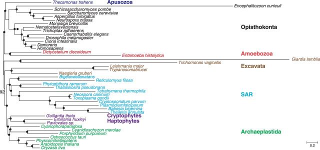 Fig. 6.—