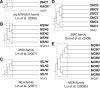 <sc>Fig</sc>. 2.—