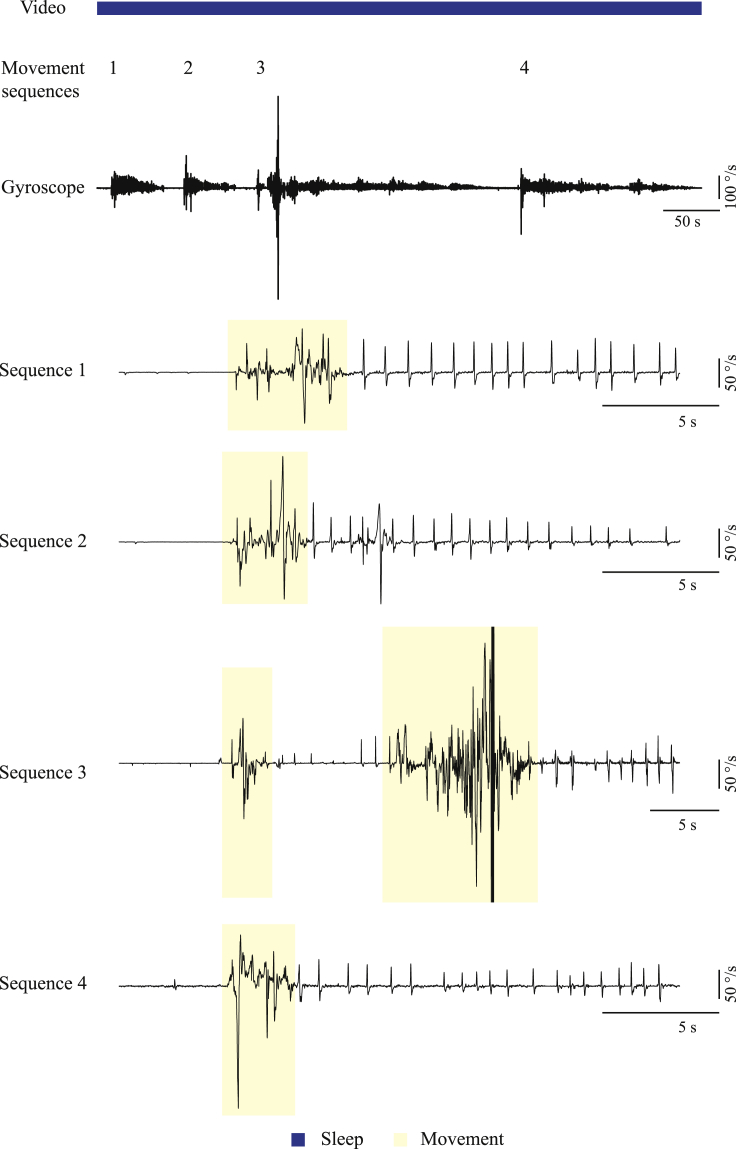 Figure 6