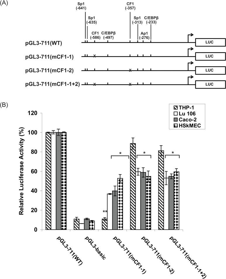 Fig 10