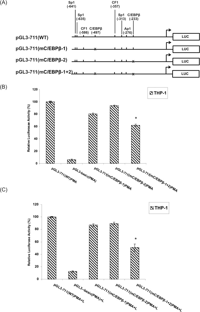 Fig 12