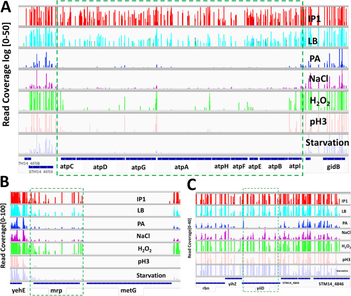 FIG 3