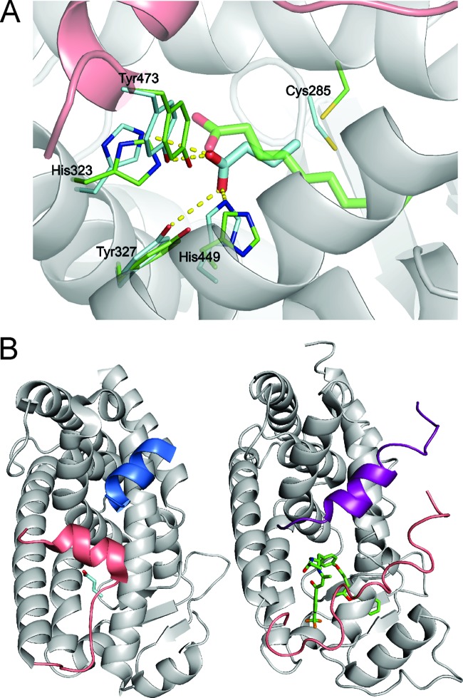 Fig 6