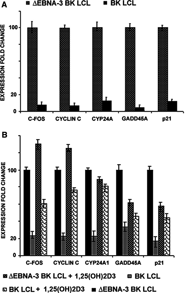 Fig. 3