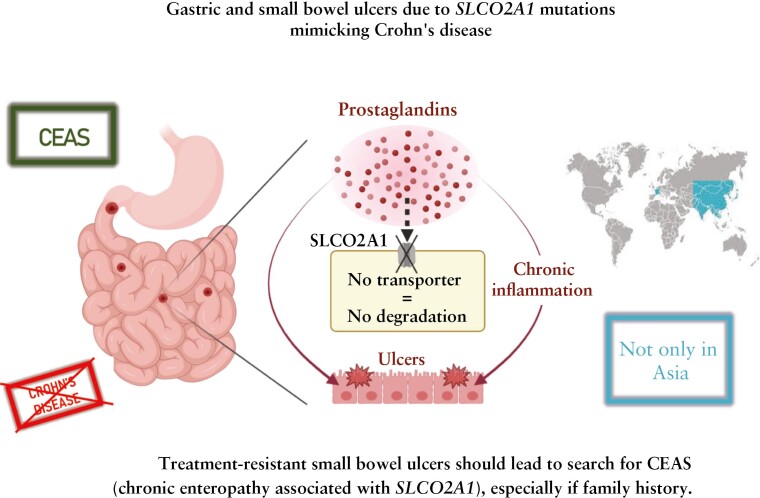 Graphical Abstract