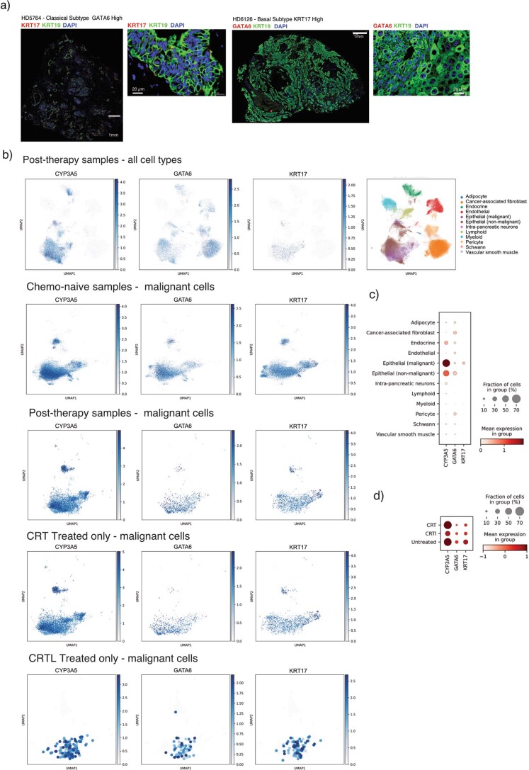 Extended Data Fig. 3