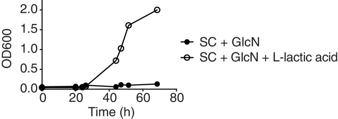 Figure 1—figure supplement 2.