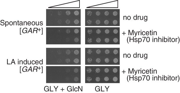 Figure 2—figure supplement 2.