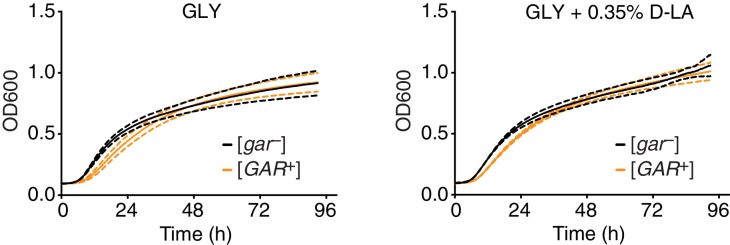 Figure 1—figure supplement 3.