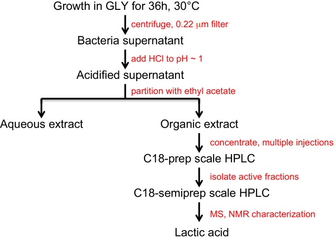 Figure 1—figure supplement 1.