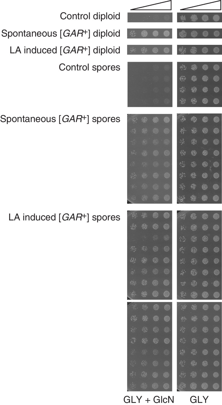 Figure 2—figure supplement 1.