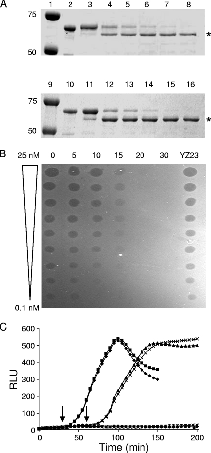 FIG. 2.