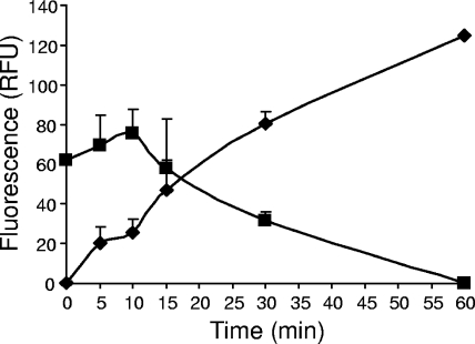 FIG. 5.