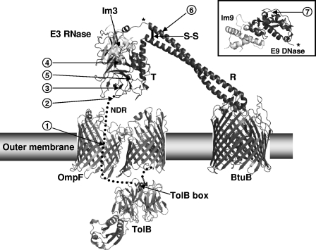 FIG. 1.