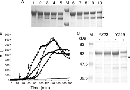 FIG. 3.