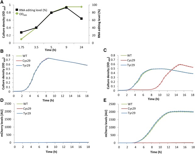 Figure 3.