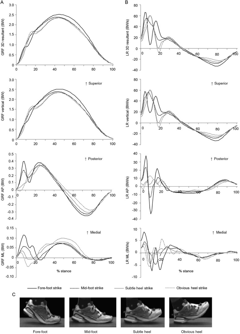 Fig. 2