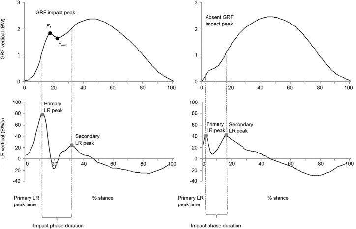 Fig. 1