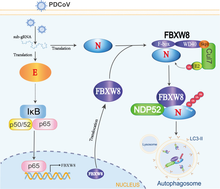 Figure 6